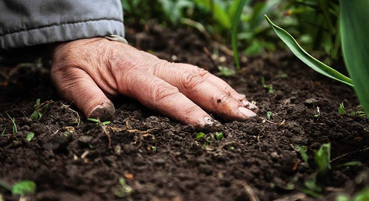 World Environment Day, Soil